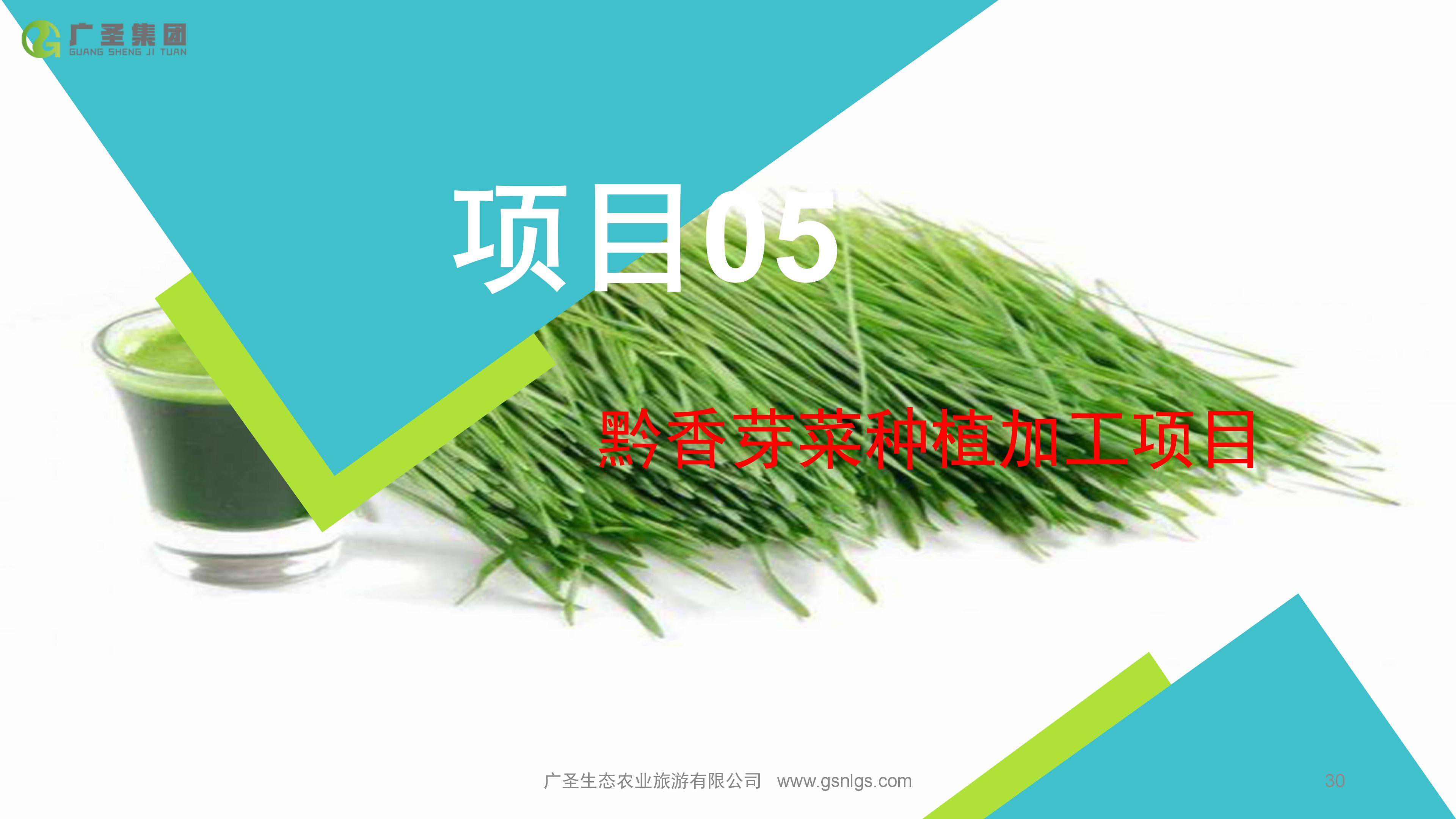 广圣农旅-黔香芽菜种植加